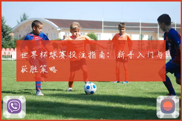 世界杯球赛投注指南：新手入门与获胜策略